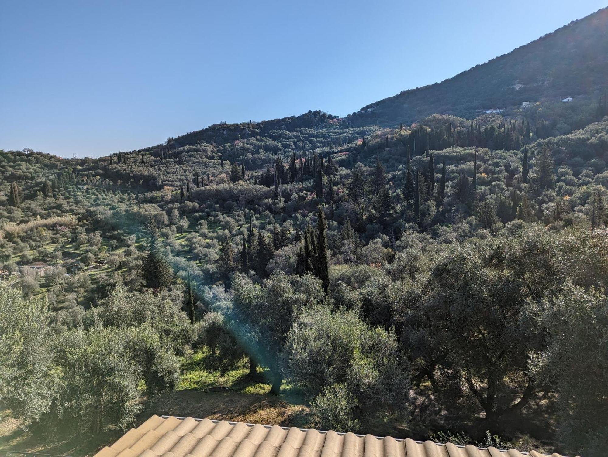 Villa Eleonas *